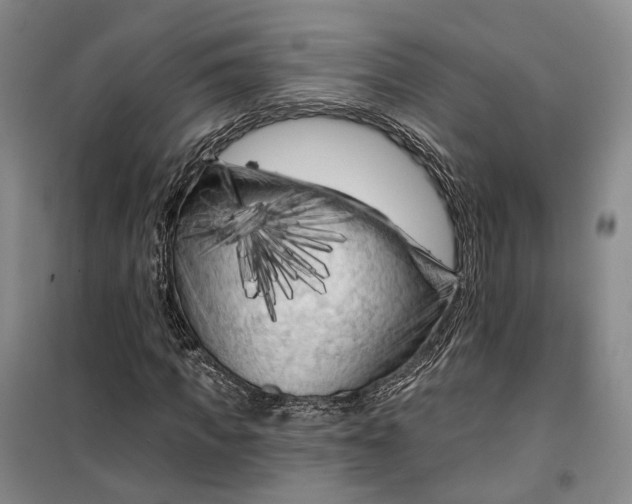 X0000099450917200805301509