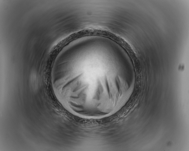 X0000099450919200805301509