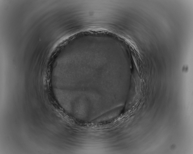 X0000099450920200805301509