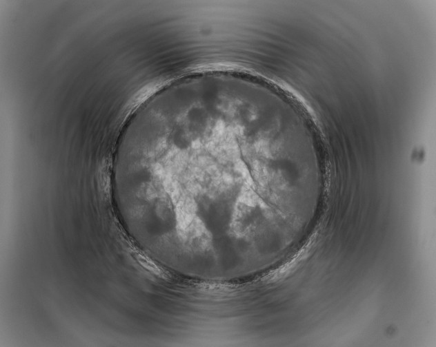 X0000099450921200805301509