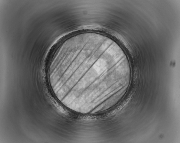 X0000099450923200805301509