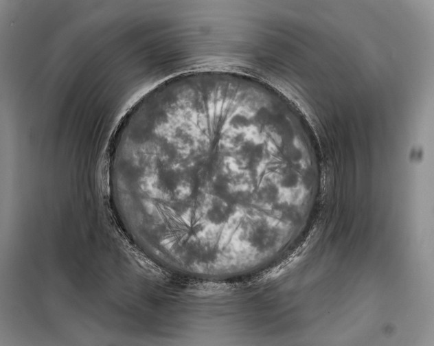 X0000099450925200805301509