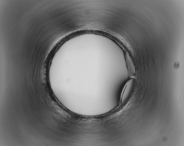 X0000099450926200805301509