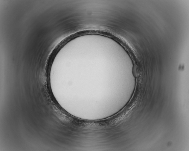 X0000099450927200805301509