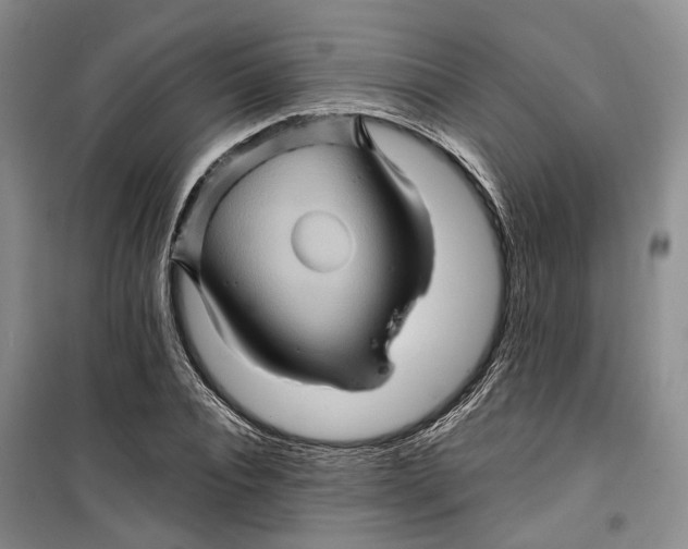 X0000099450928200805301509