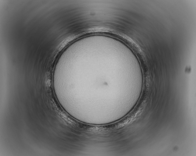 X0000099450929200805301509