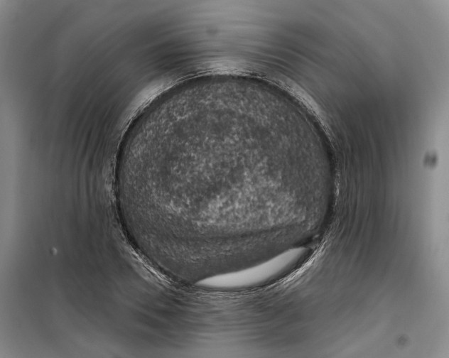 X0000099450930200805301509