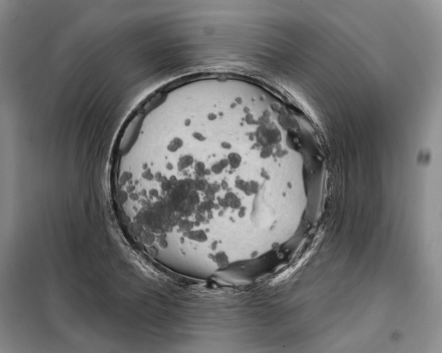 X0000099450932200805301509