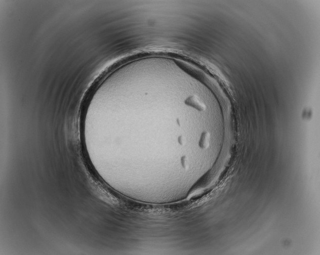 X0000099450934200805301509