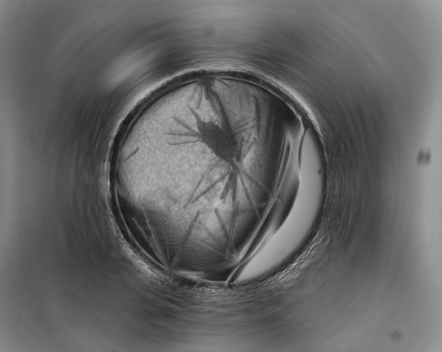 X0000099450935200805301509