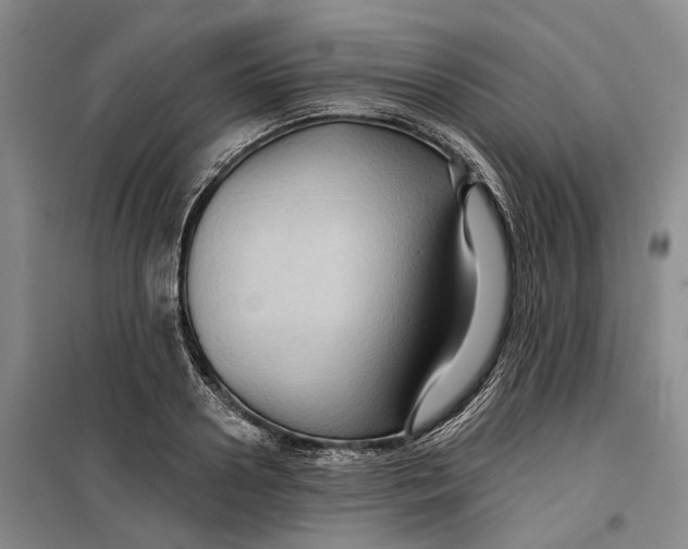 X0000099450938200805301509