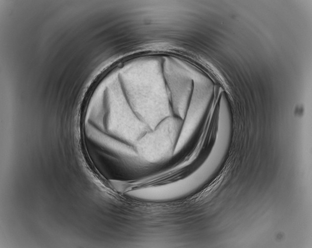 X0000099450939200805301509