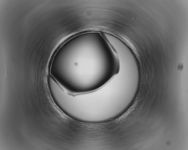 X0000099450940200805301509