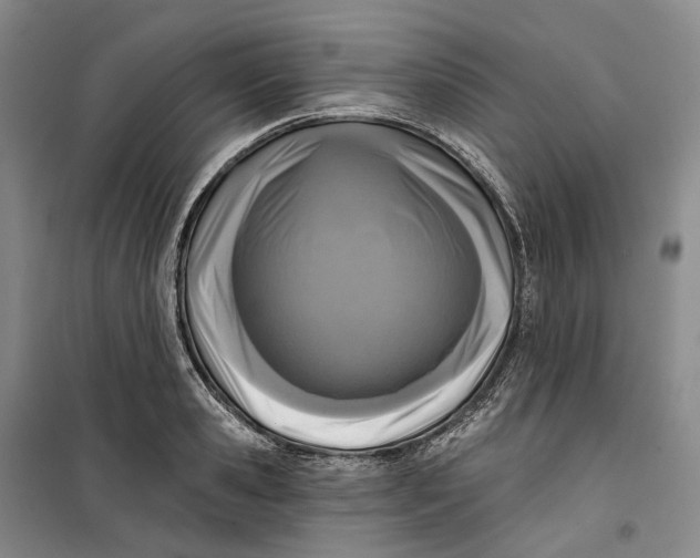 X0000099450941200805301509