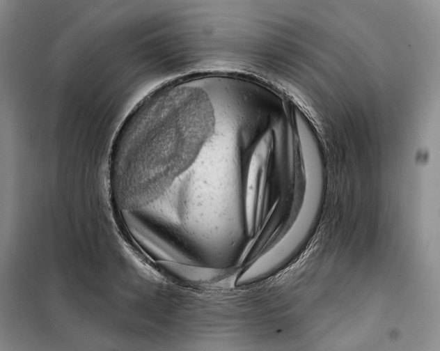 X0000099450942200805301509