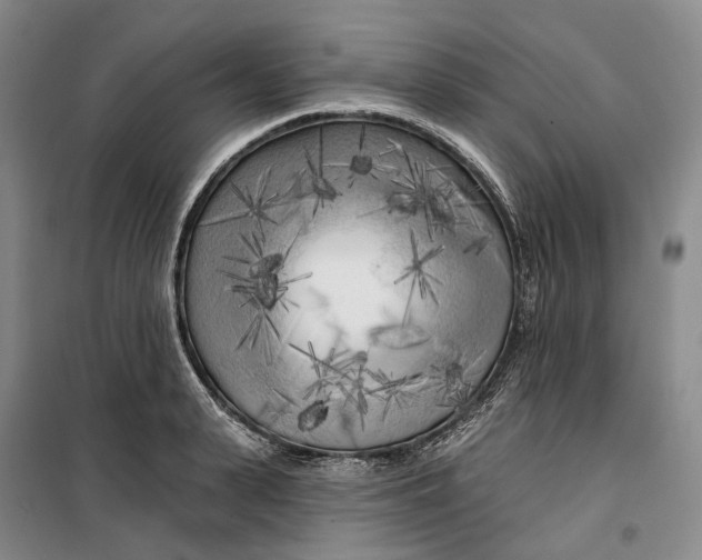 X0000099450943200805301509