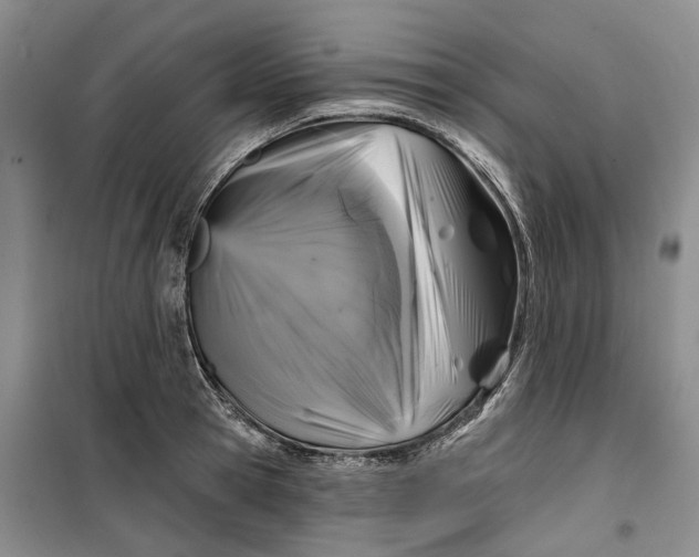 X0000099450945200805301509