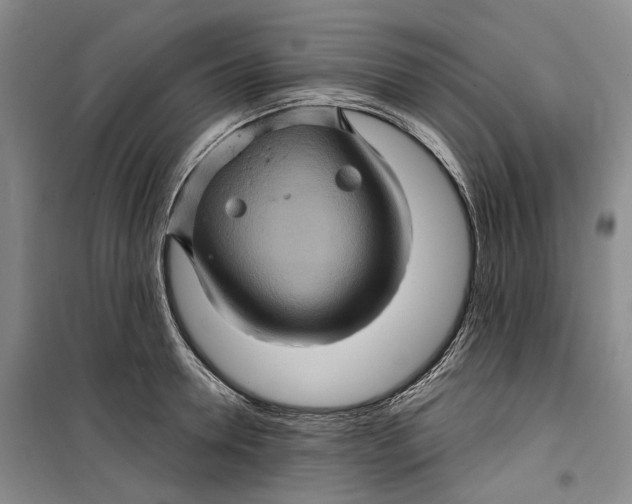 X0000099450946200805301509