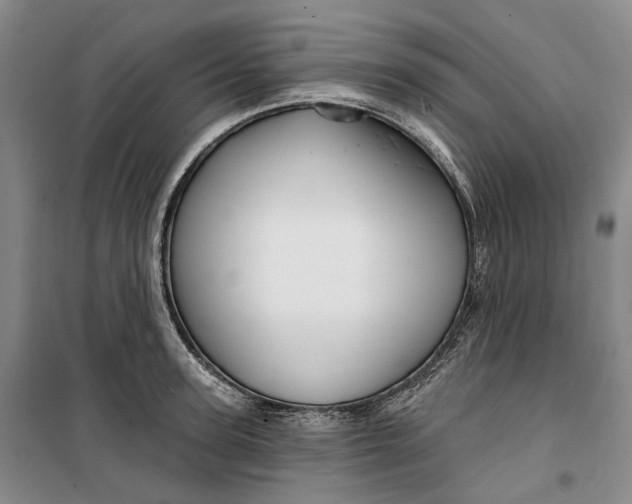 X0000099450947200805301509