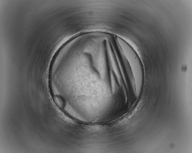 X0000099450949200805301509