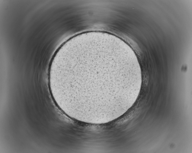 X0000099450950200805301509