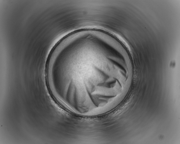 X0000099450951200805301509