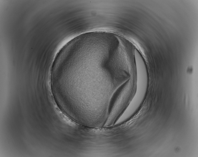 X0000099450952200805301509