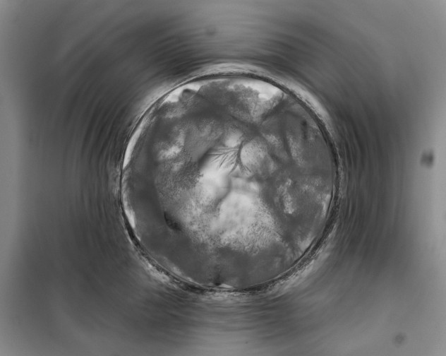 X0000099450953200805301509