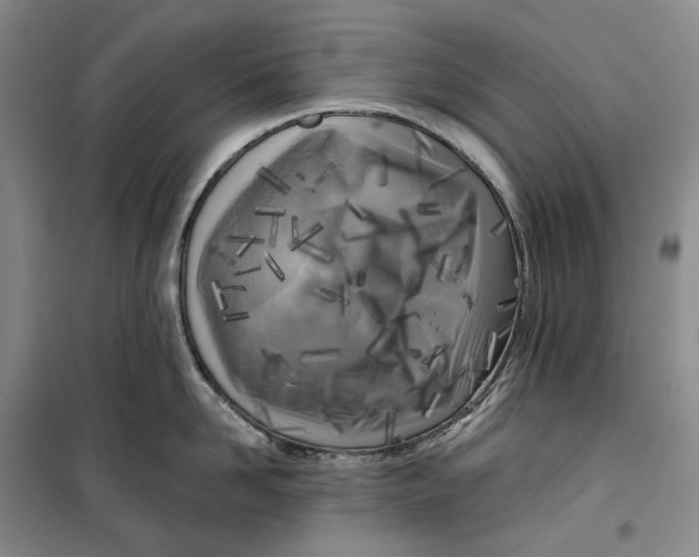 X0000099450958200805301510