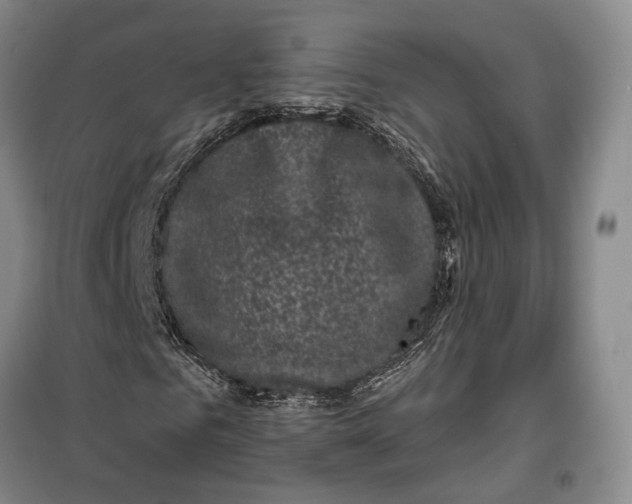 X0000099450961200805301509