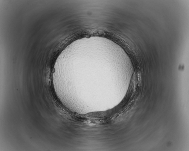 X0000099450963200805301509