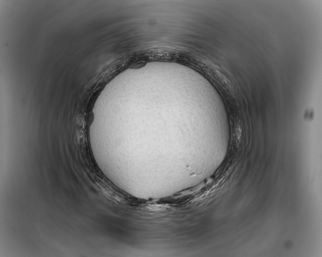 X0000099450964200805301509