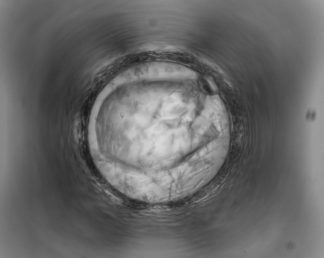 X0000099450966200805301509