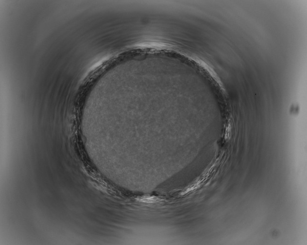 X0000099450967200805301509