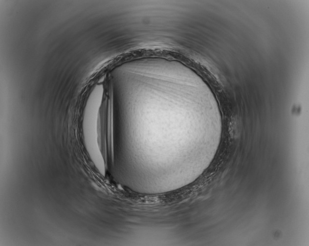 X0000099450968200805301509