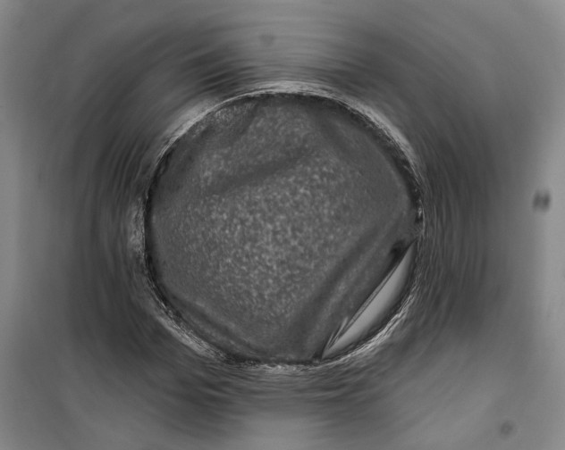 X0000099450969200805301509