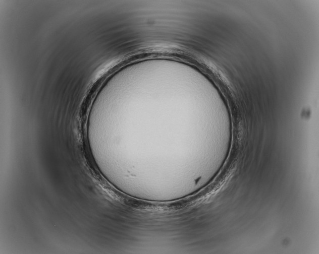 X0000099450970200805301509