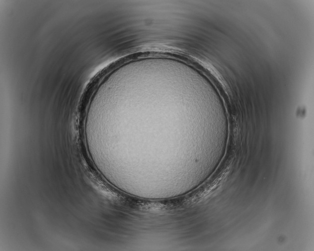 X0000099450971200805301509