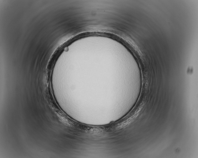 X0000099450974200805301509