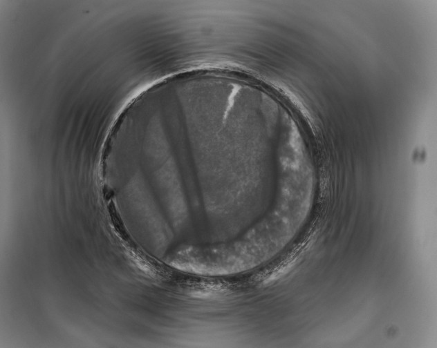 X0000099450975200805301509