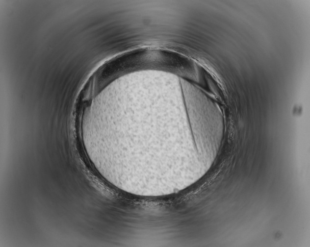 X0000099450976200805301509