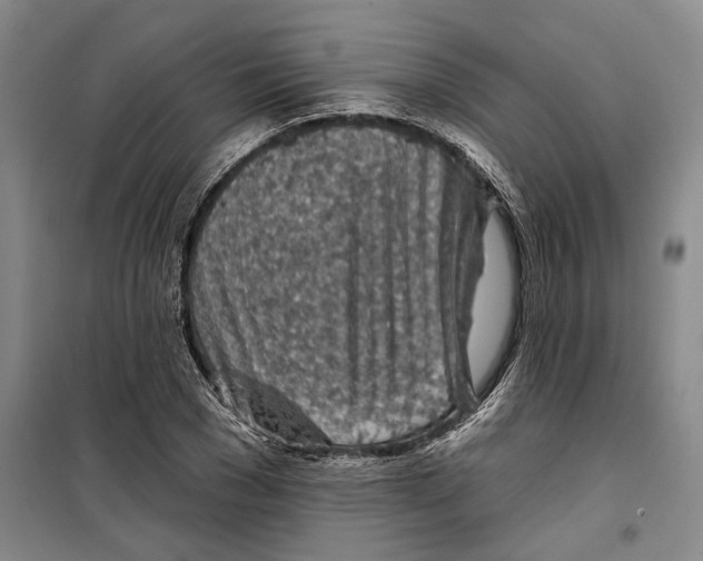 X0000099450977200805301509