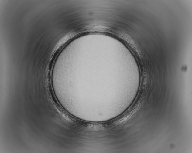 X0000099450978200805301509