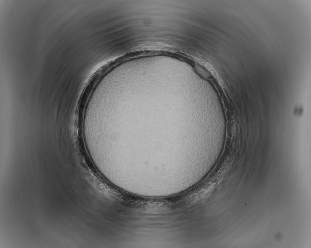 X0000099450979200805301509