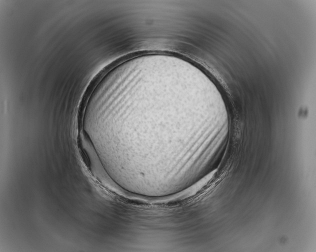 X0000099450980200805301509