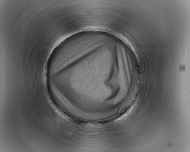 X0000099450981200805301509