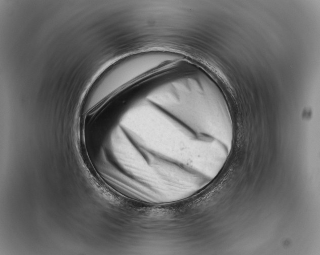 X0000099450984200805301509