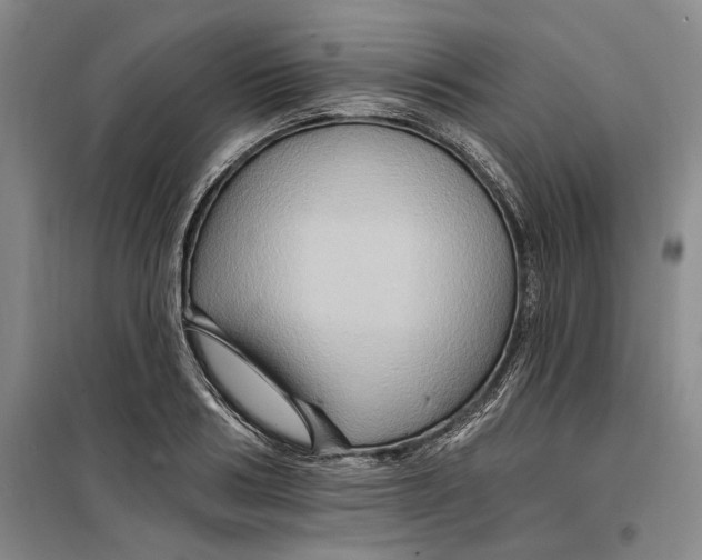 X0000099450986200805301509