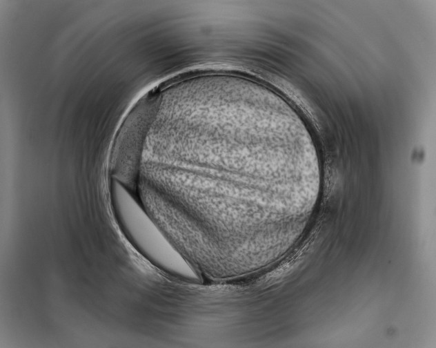 X0000099450988200805301509