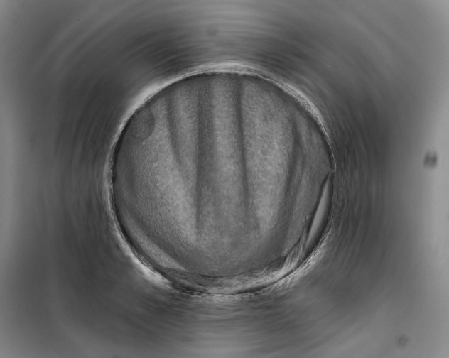 X0000099450989200805301509